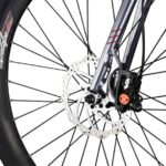 Rapida E-Bike- Tyres