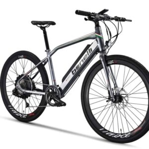 Rapida E-Bike
