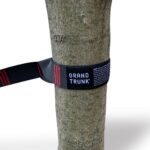 **Alt tag (short):** **Grand Trunk Double Deluxe Hammock with Straps**