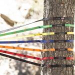 Grand Trunk Trunk Straps Hammock Suspension Straps 1