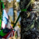 Grand Trunk Trunk Straps