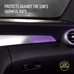 Turtle Wax x Mr. Cartoon Interior & Exterior Protectant