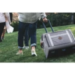 Barebones Water-Resistant Large Roller Cooler Bag - 2.4cu ft