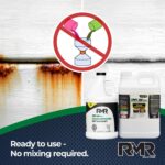 RMR 86 Pro Instant Mold & Mildew Stain Remover - 3.78 L